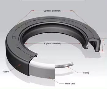 TC NBR a AS C CS Oil Seal Radial Shaft Rotary Seals FKM/FPM Hydraulic Oil Seals