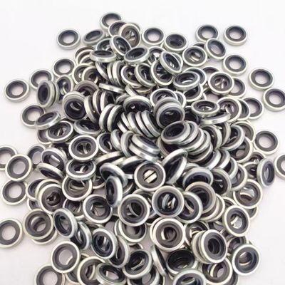 High Quality Stainless Steel Dowty Seal Gasket Fluorine Rubber Bonded Seal Washer
