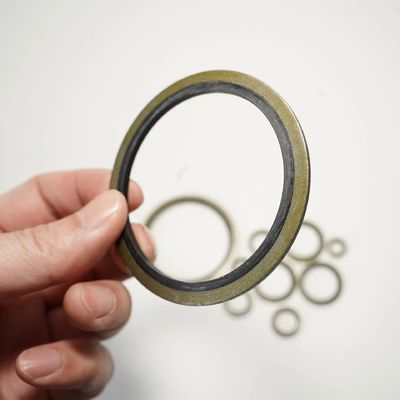 FKM Rubber Washers Gaskets Metal Gaskets Dowty Washer Seals Bonded Seals