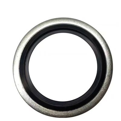 China High Quality Self-centering Dowty Seal/bonded Washer/bonded Seal M8 M10 M12 M14 M16China High Quality Self-centering Dowty Seal/bonded Washer/bonded Seal M8 M10 M12 M14 M16